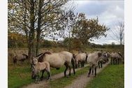  Unterkunft Objektbild